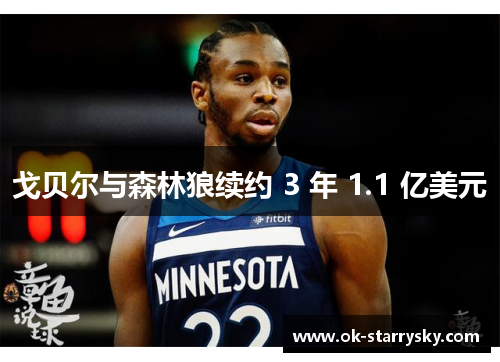 戈贝尔与森林狼续约 3 年 1.1 亿美元
